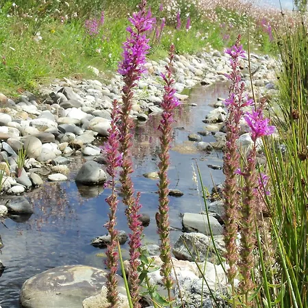 3 Au Calme Avec Piscine Chauffee Proche Du Jaunay - Fr-1-783-23 Dağ evi *