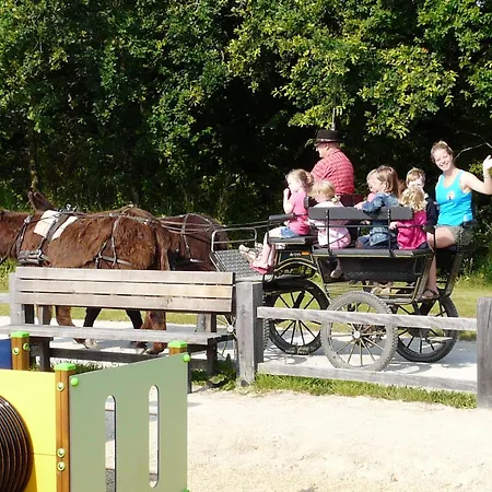 3 Au Calme Avec Piscine Chauffee Proche Du Jaunay - Fr-1-783-23 *