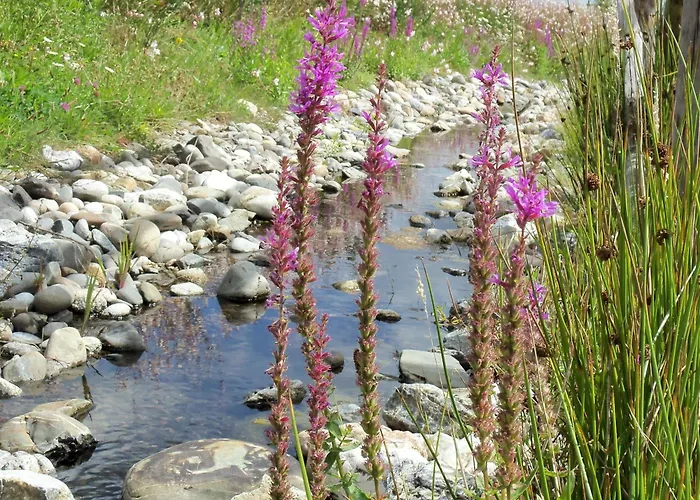 3 Au Calme Avec Piscine Chauffee Proche Du Jaunay - Fr-1-783-23 Alpehytte *